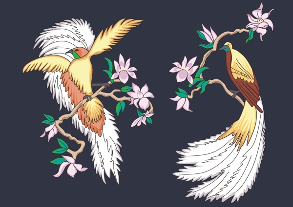鳳凰圖片
