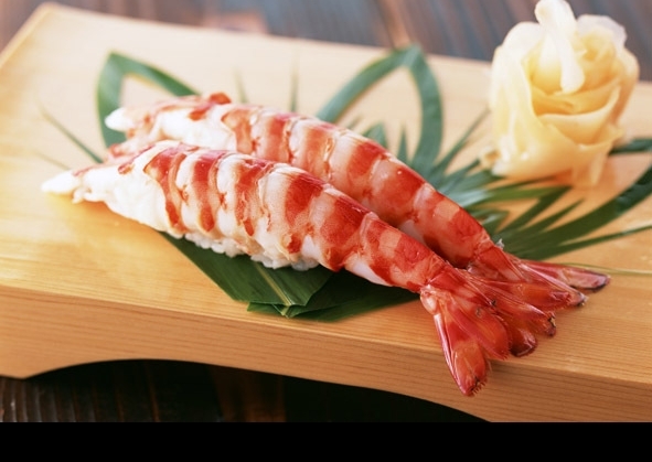 蝦圖片