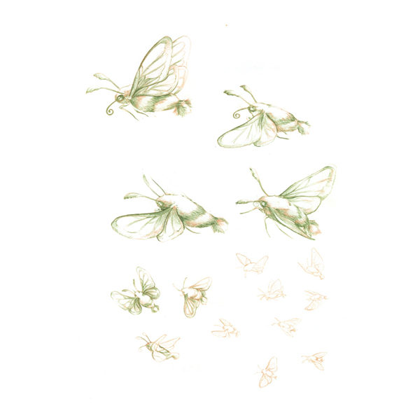 位圖插畫(huà)動(dòng)物插畫(huà)藝術(shù)效果手繪免費(fèi)素材