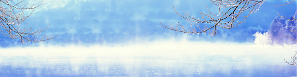 背景
