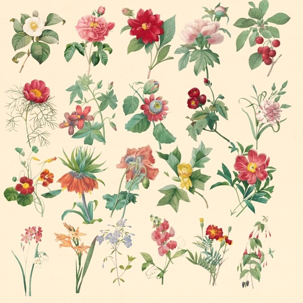 花素材
