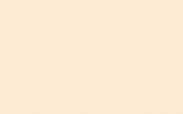 紋理背景163