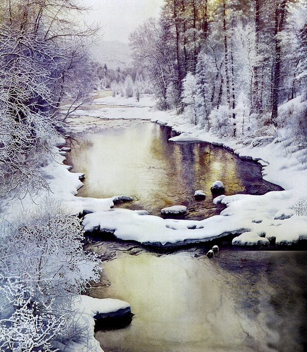 森林中的雪景图片