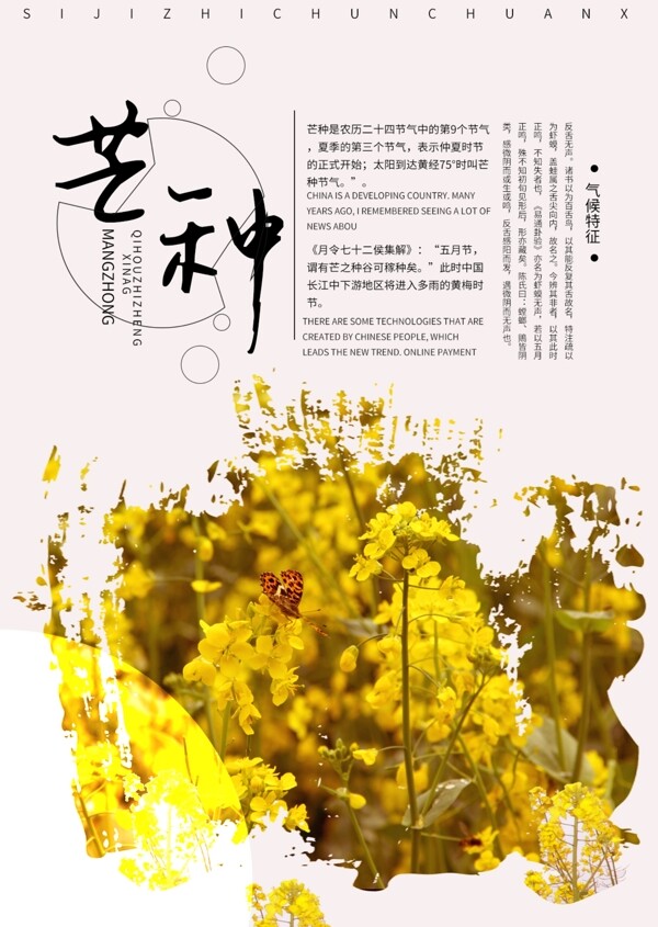 芒種節(jié)日海報芒種海報