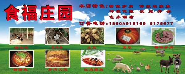 農(nóng)家院圖片