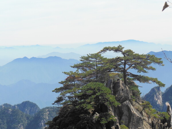 黃山