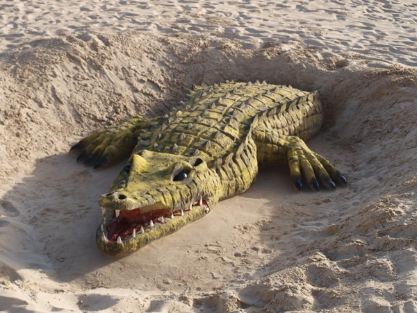 创意沙雕鳄鱼图片