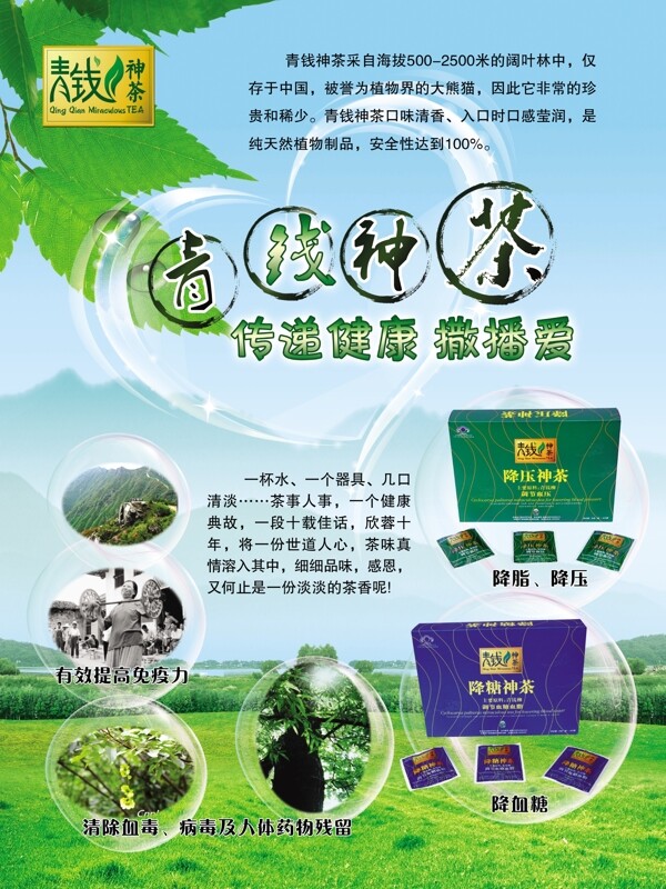 青錢神茶圖片
