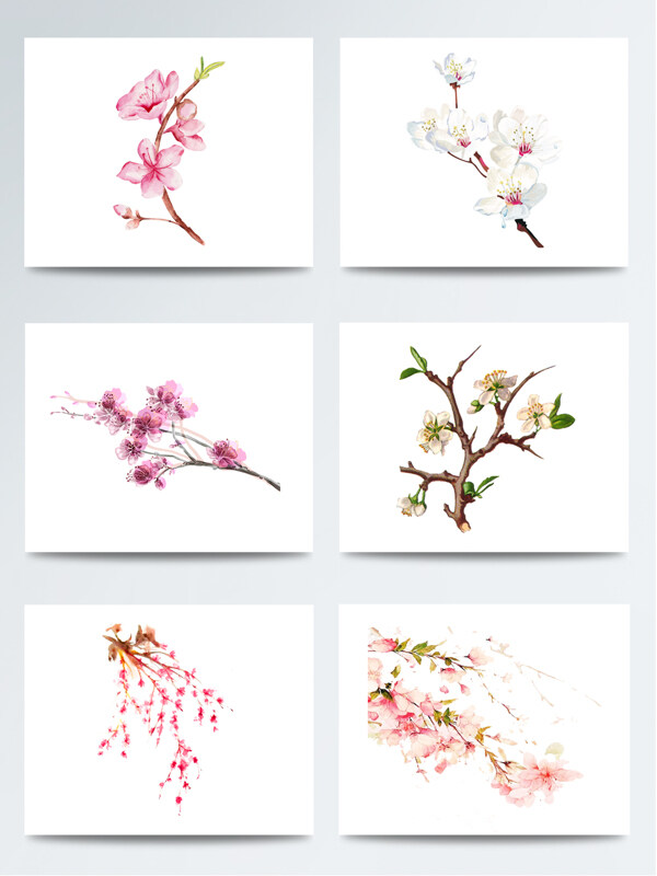 彩色手绘的惊蛰桃花枝元素素材