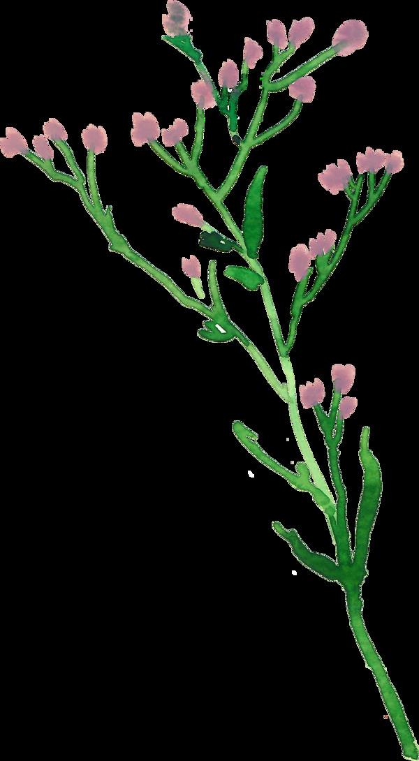 簡約花束透明素材