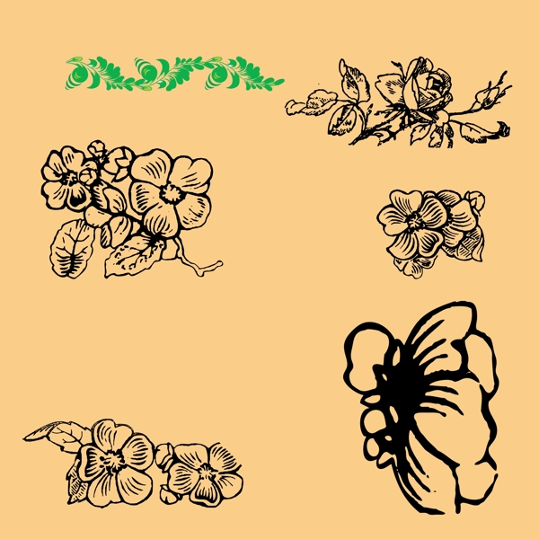 花紋圖片