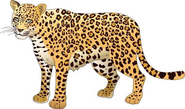 多款野生動物矢量素材