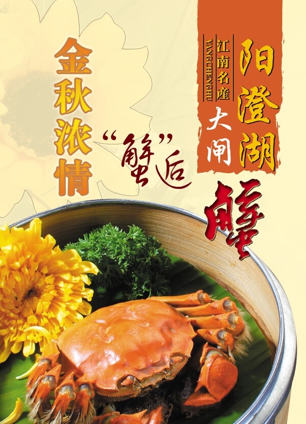 陽澄湖大閘蟹宣傳介紹圖片