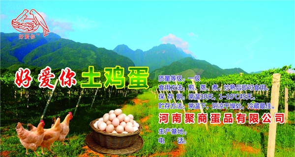 土雞蛋廣告