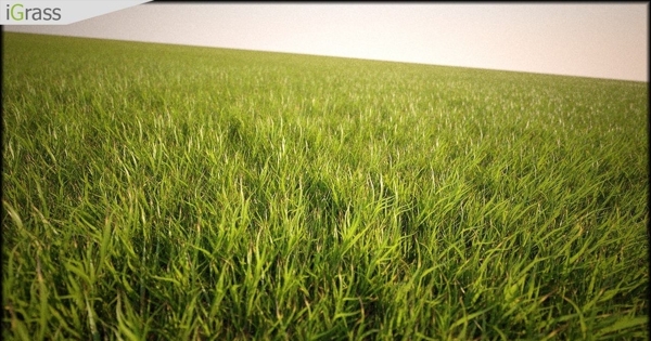 草草地模型图片