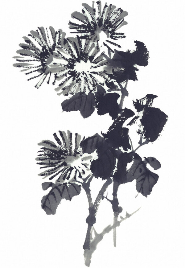 位圖時(shí)尚休閑女裝成熟優(yōu)雅女裝植物花卉免費(fèi)素材
