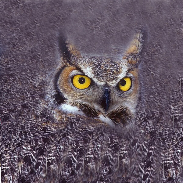 位圖插畫時尚插畫動物插畫藝術(shù)效果免費素材
