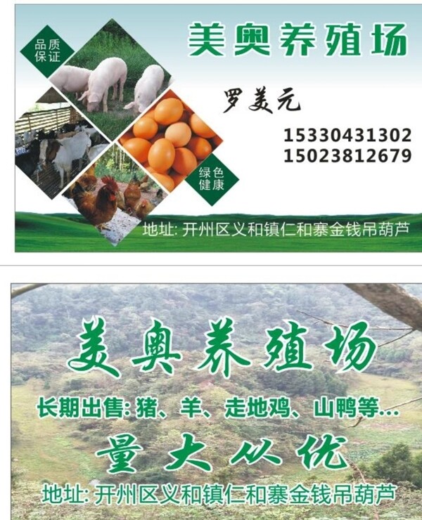 名片模板企業(yè)名片公司名片