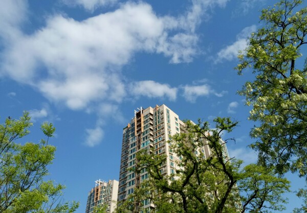晴天高樓
