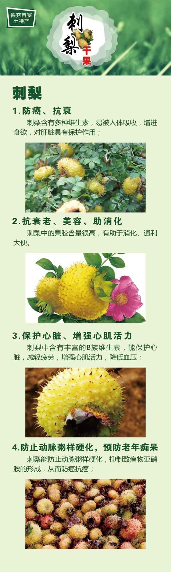 刺梨