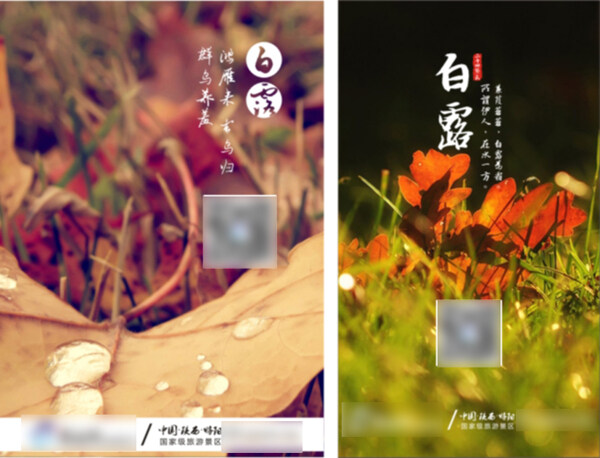 二十四節(jié)氣之白露