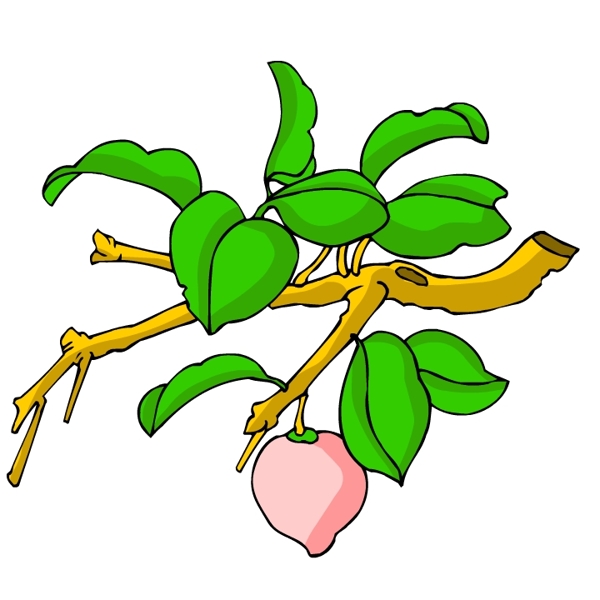 花卉古典插畫