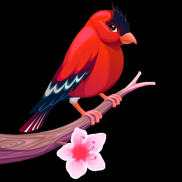 卡通鳥