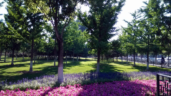 北京永定門(mén)公園風(fēng)景