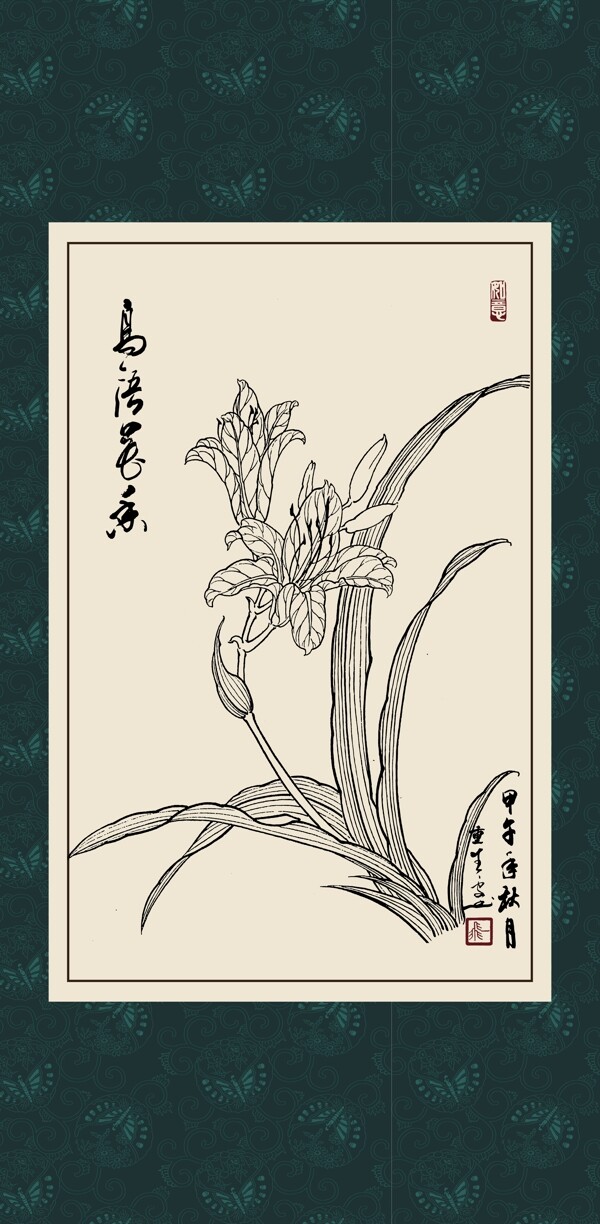 萱草圖片