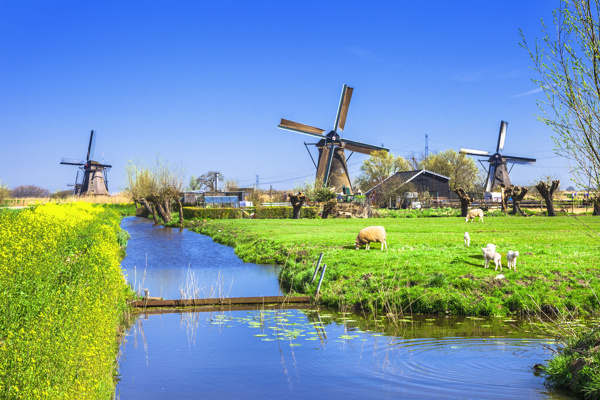美丽的荷兰风车景色高清图片
