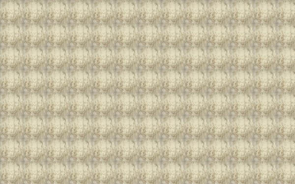 石紋石子42