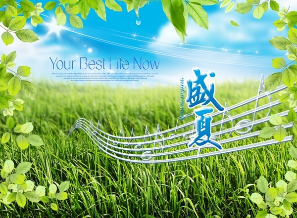 夏天圖片