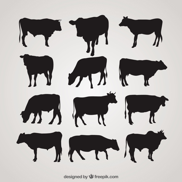 牛的轮廓收藏