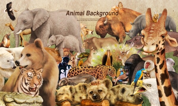 动物乐园宣传设计海报