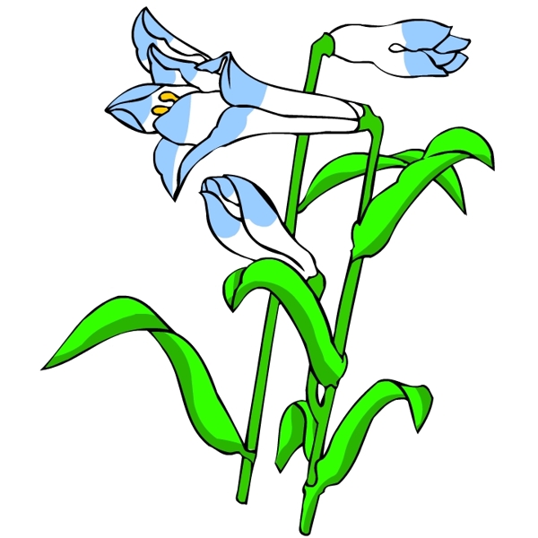 花卉古典插畫