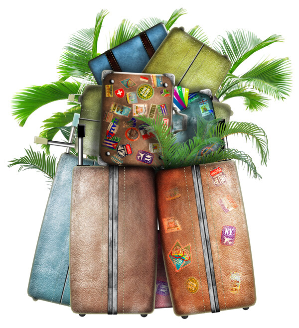 堆满行李箱的椰子树图片
