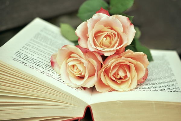 书与玫瑰