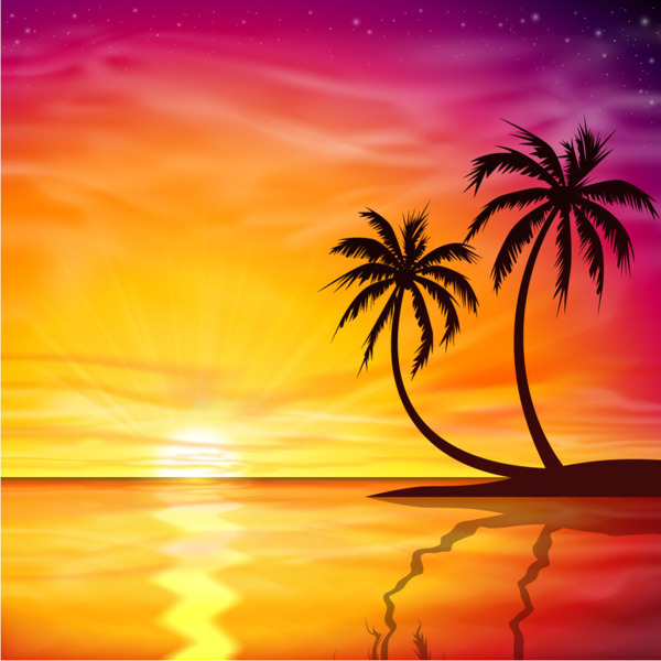 美丽日落与棕榈树背景矢量素材