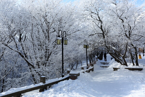 黃山雪景