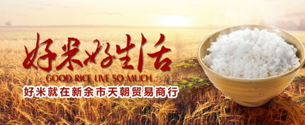 大米