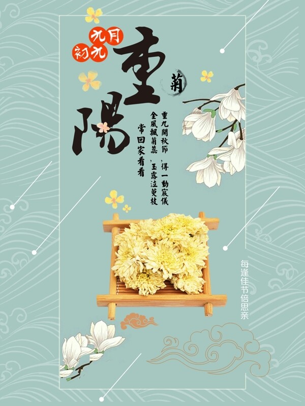重陽節(jié)海報設(shè)計