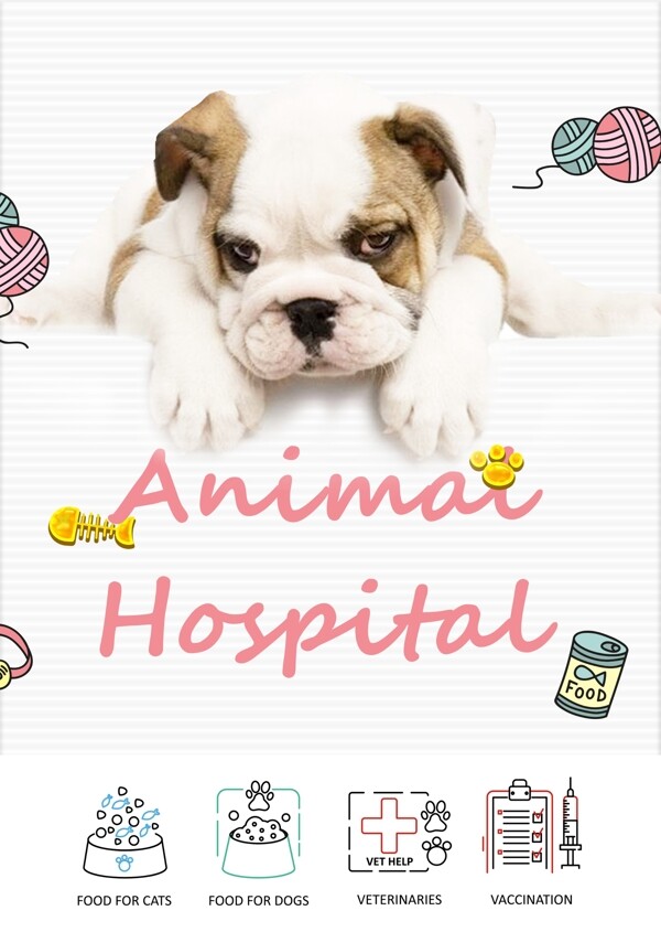 韩国帽风格可爱的小狗宠物动物海报