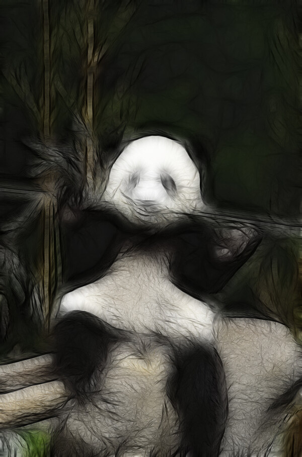 熊貓光影圖