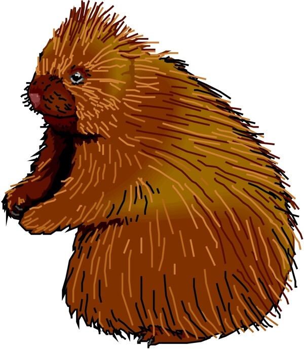 野生動物21
