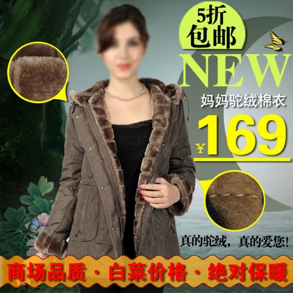 淘寶直通車圖片