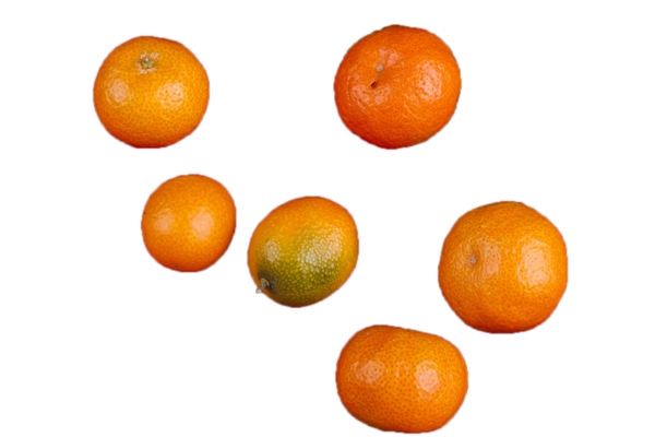 六个美味可口的橘子