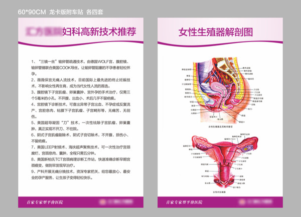 婦科掛圖溫馨風(fēng)
