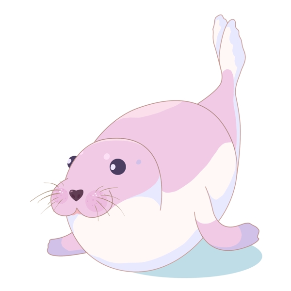 紫色海豹动物