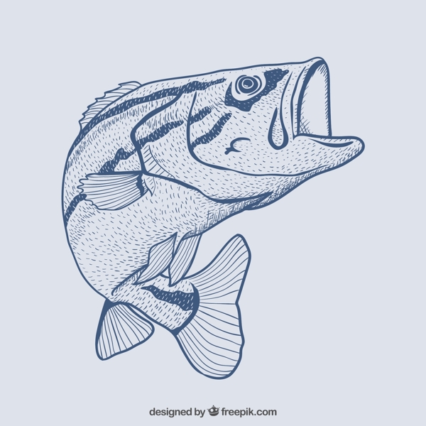 魚