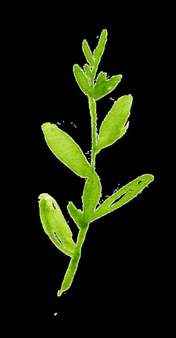 生命枝芽卡通透明素材